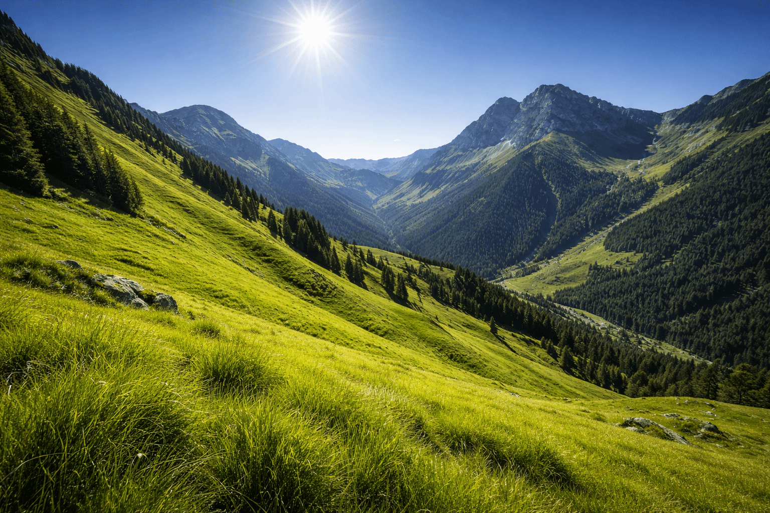 alpine valley sunny day mountain landscape.jpg